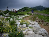 歩きやすく整備された五竜高山植物園