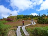 夏が終わるとすぐ秋に。季節の移り変りは速いものです